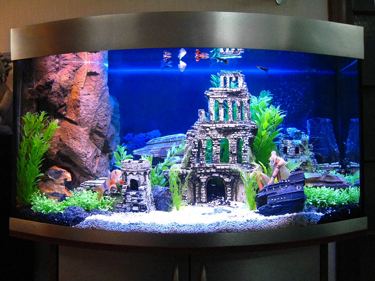 Красивые аквариумы