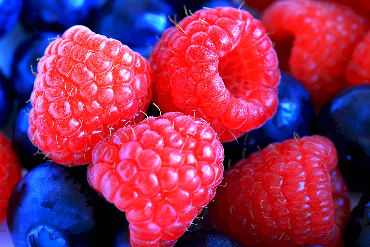 Красивые ягоды