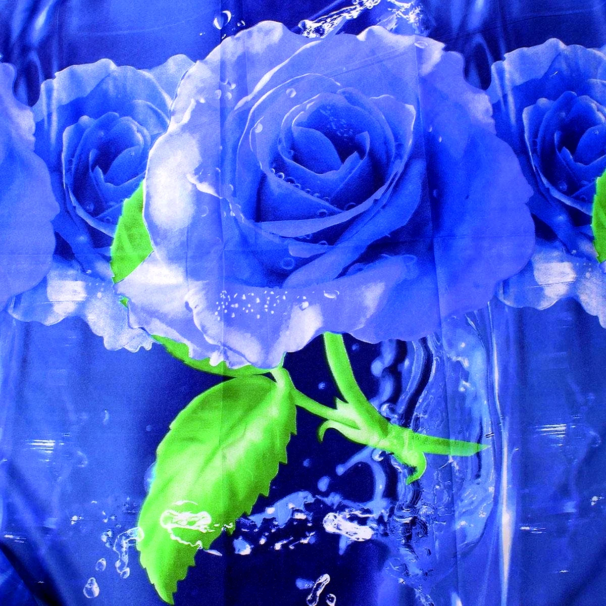 Красивые розы на голубом фоне