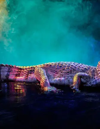 Красивый крокодил