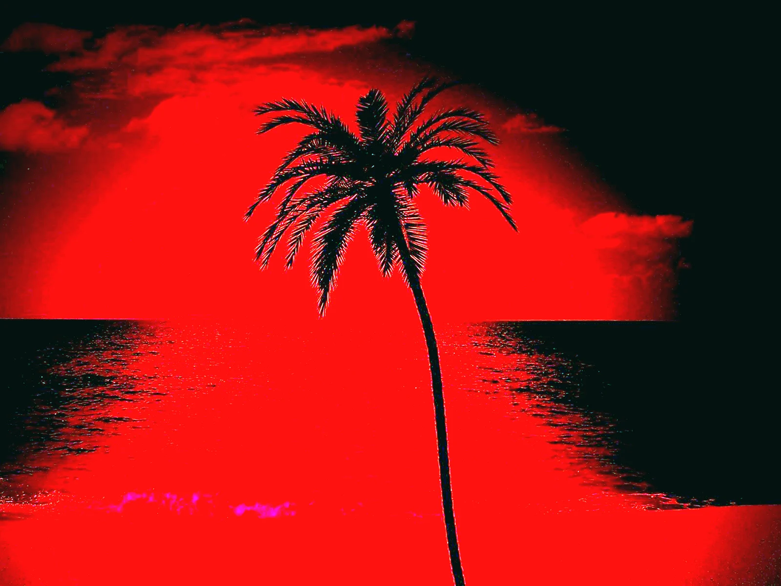 Красная Пальма
