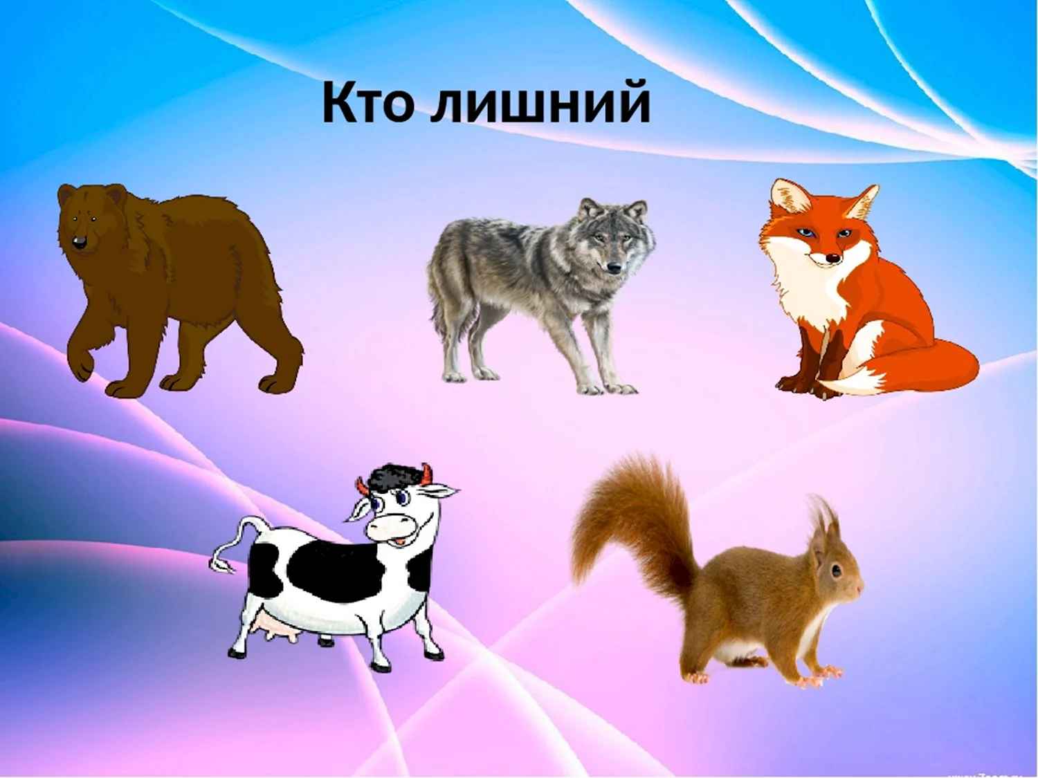 Картинки 