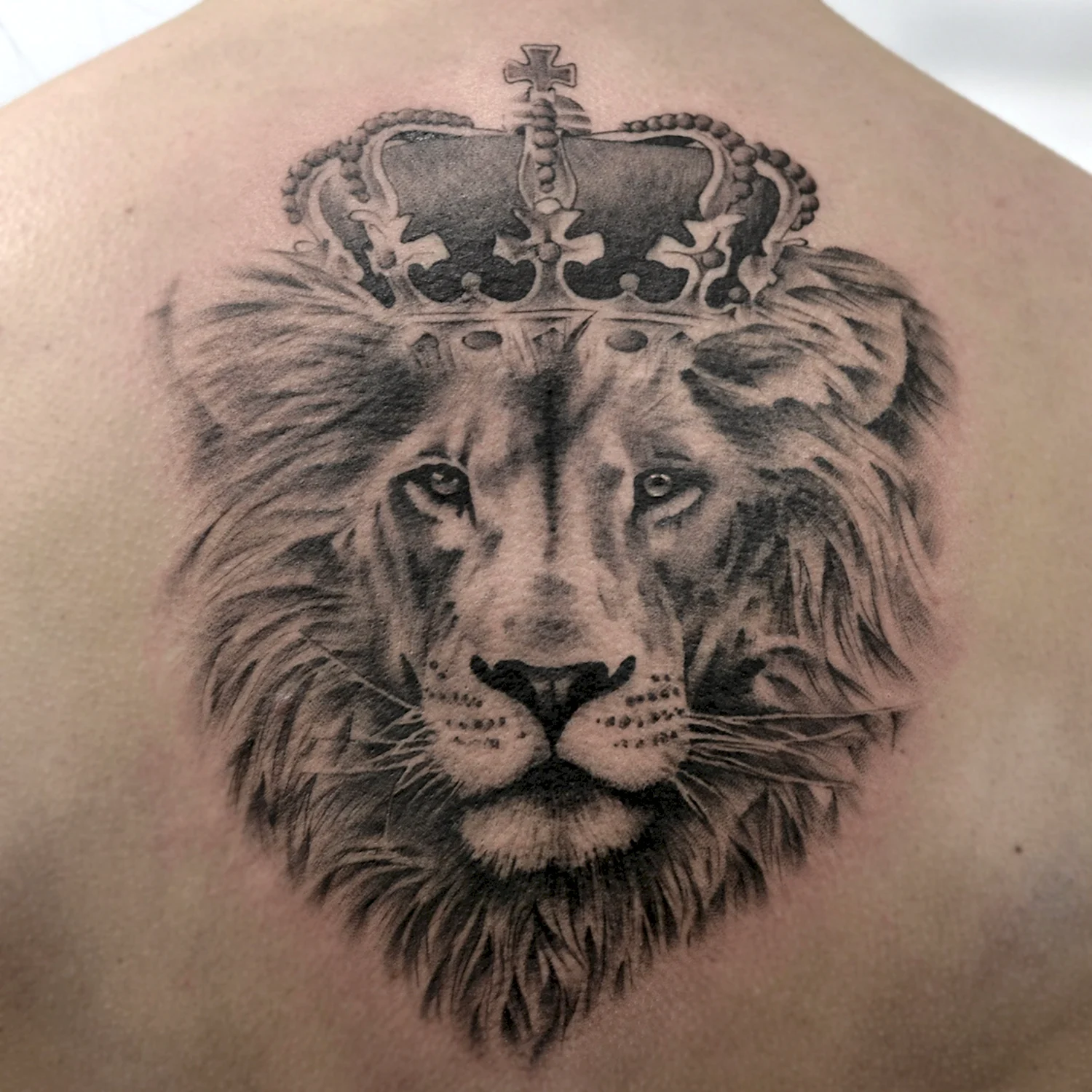 Лев с короной на спине