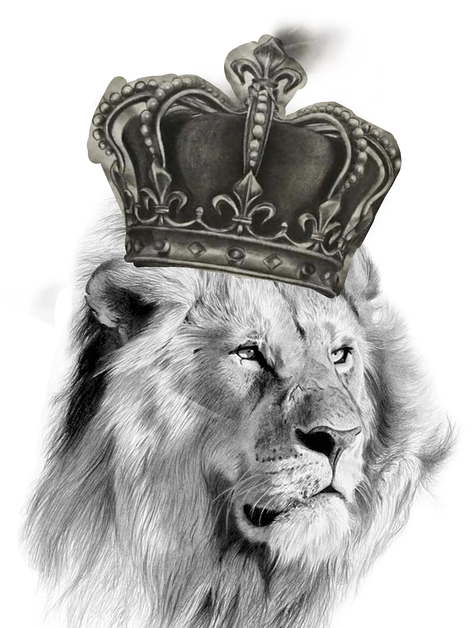 Lion with Crown c7802ъ