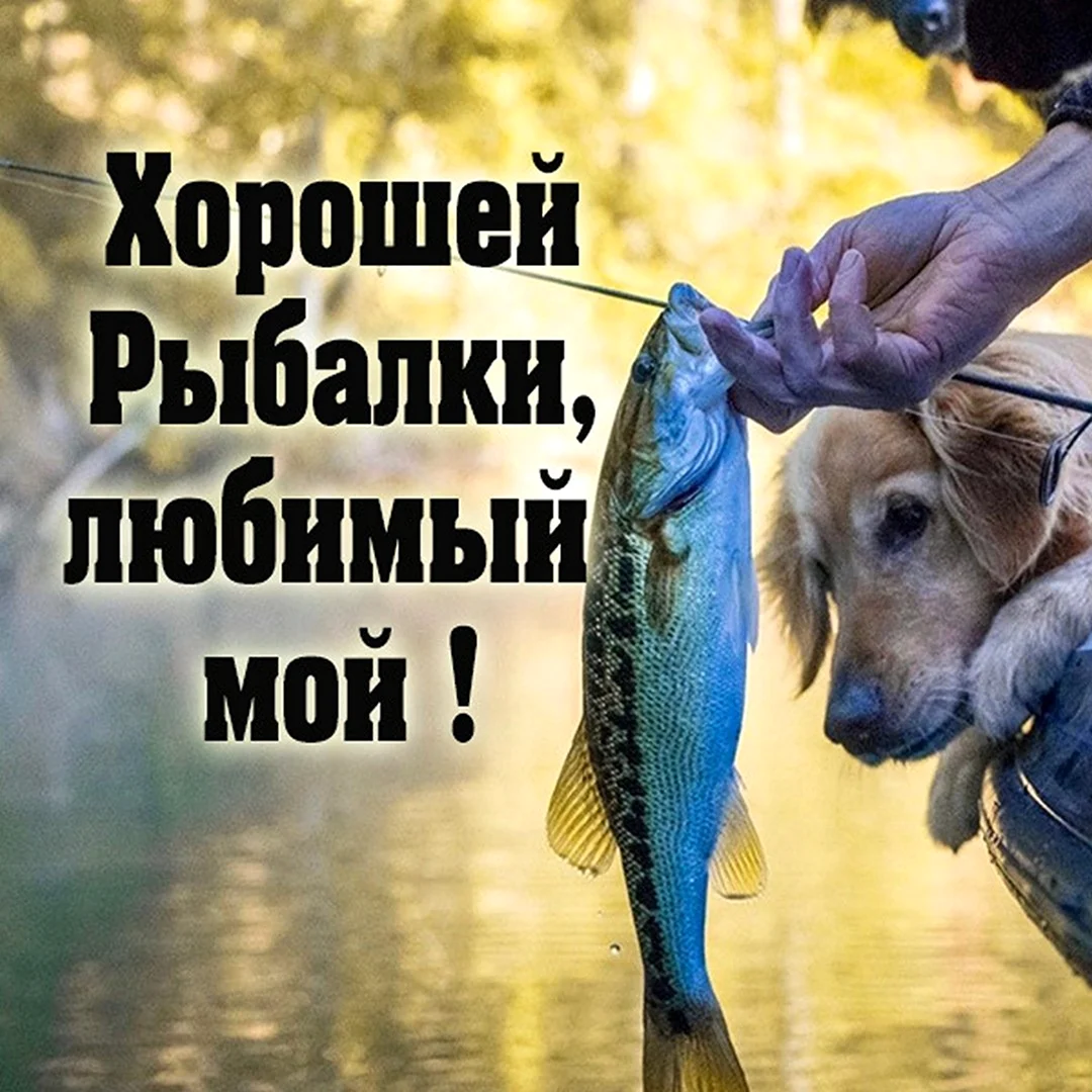 Любимому рыбаку