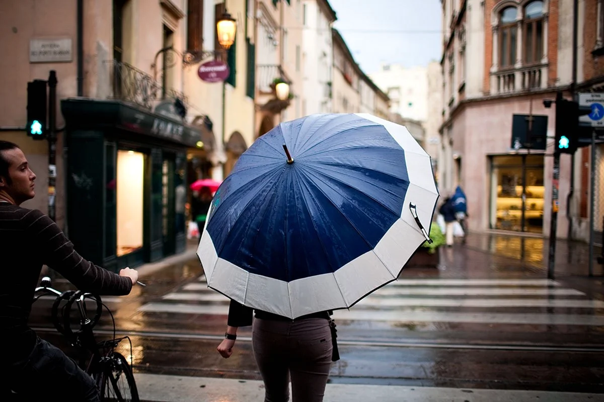 Люди с зонтами на улице