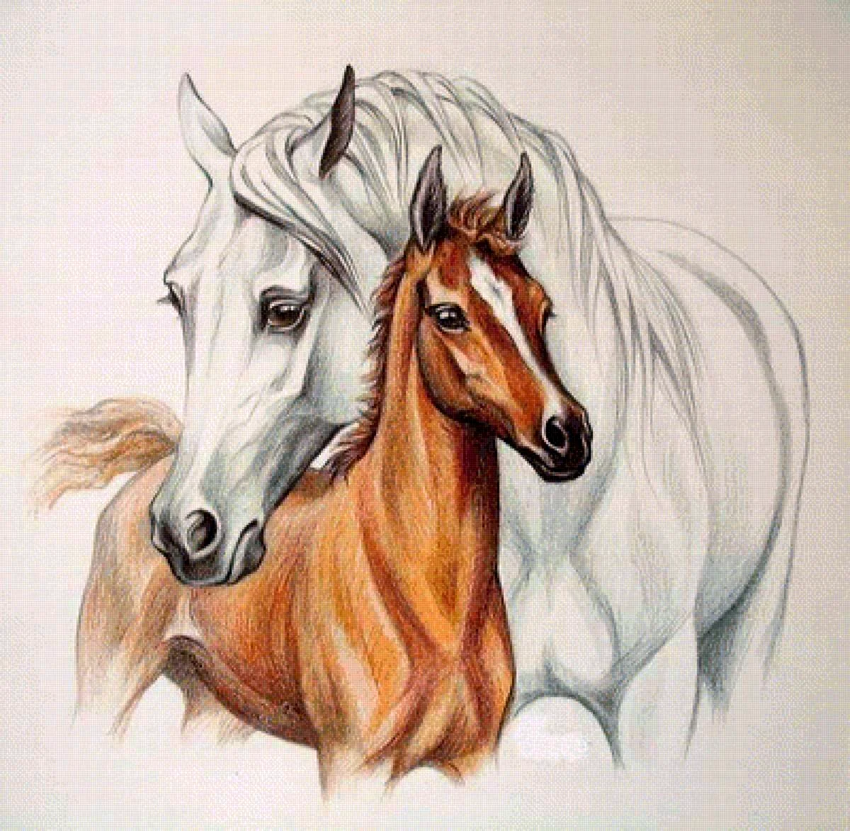 Рисунки и картинки лошадей и других животных
