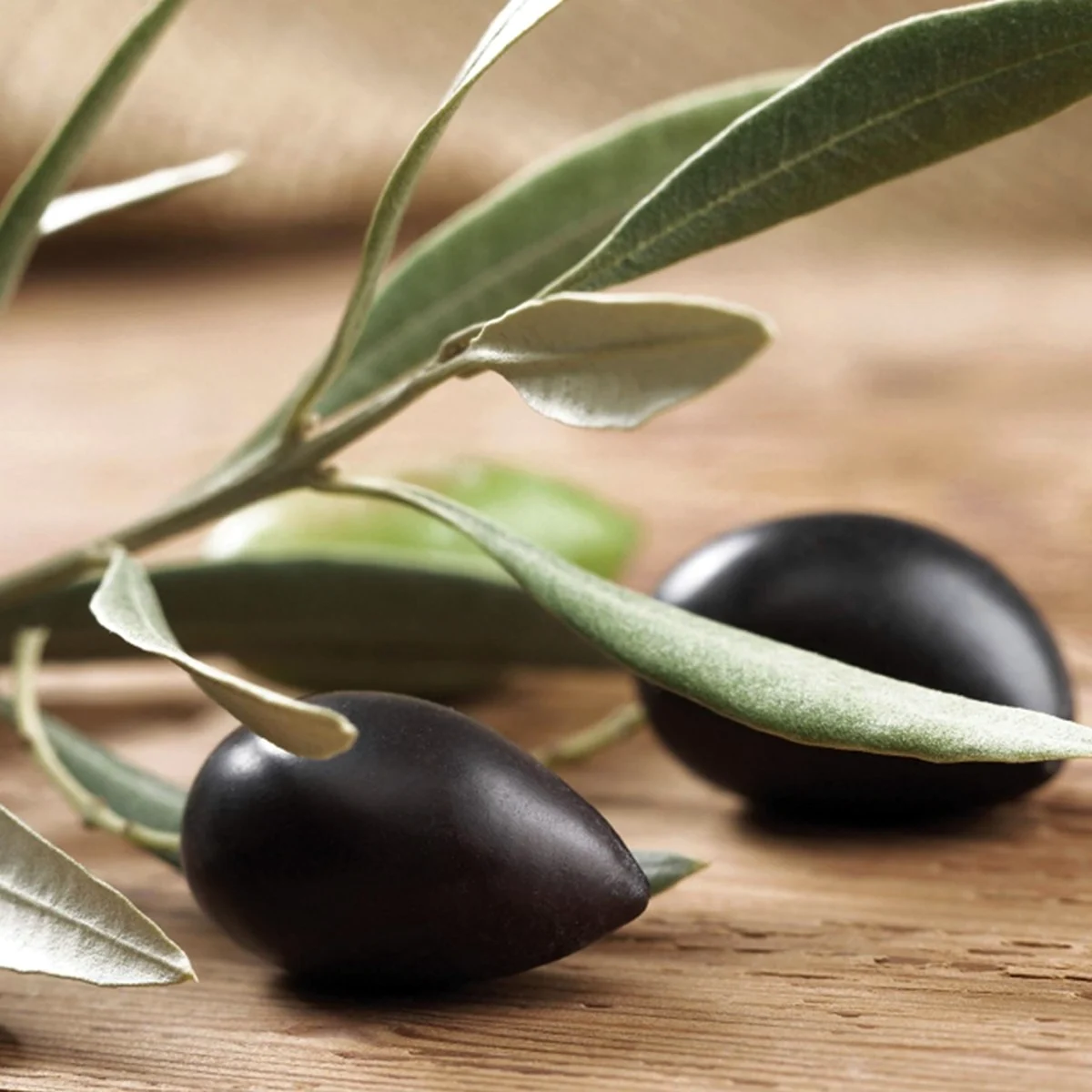 Маслины оливковое
