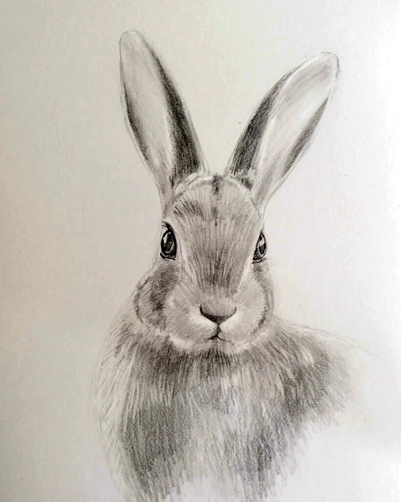 Мастер класс по рисованию кролика