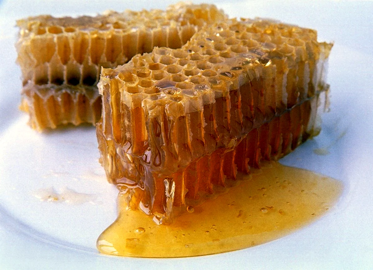 Мёд в сотах цветочно-липовый BELLOHONEY 70г