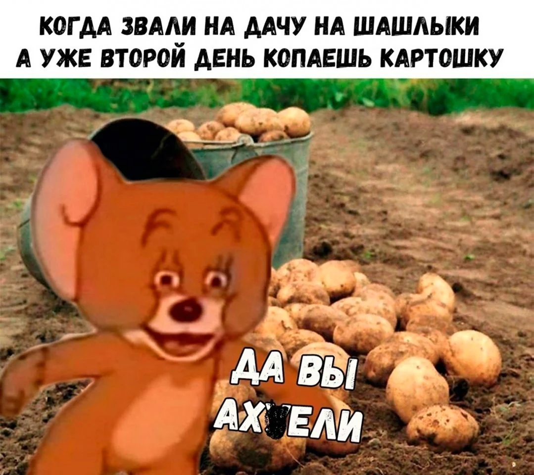 Мемы про копку картошки