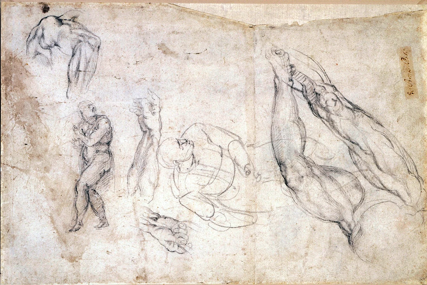 Микеланджело Буонарроти рукописи