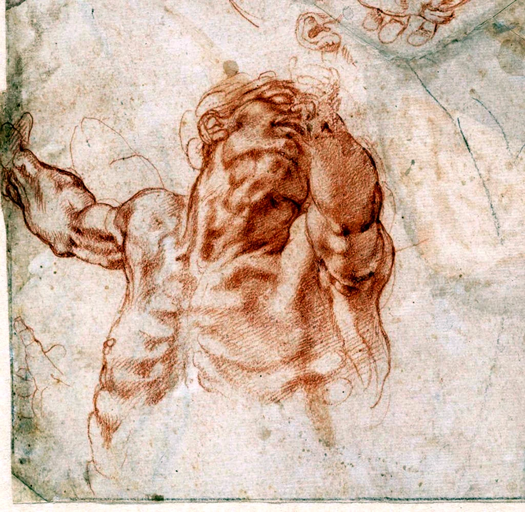 Микеланджело набросок сангина