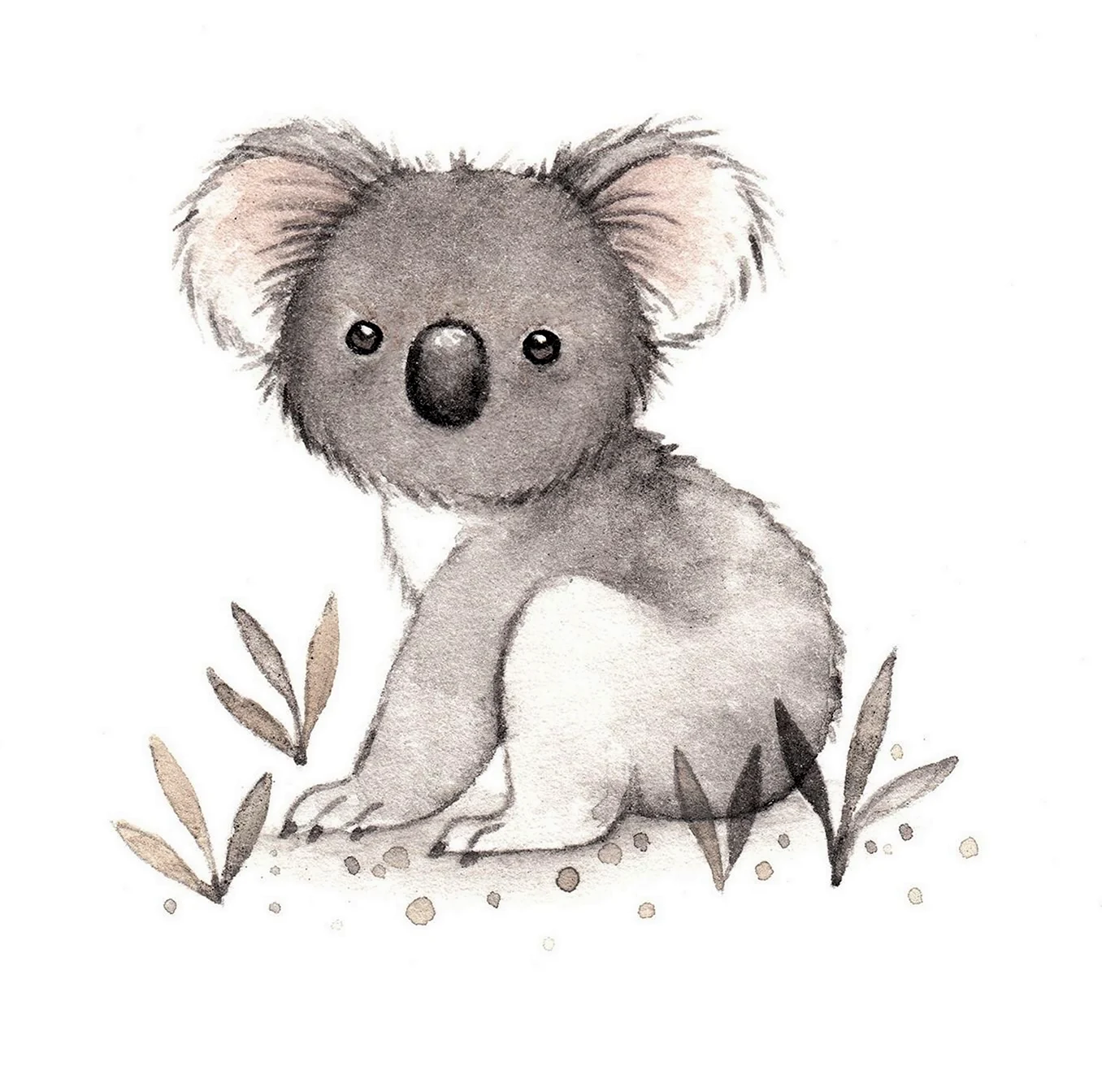 Милые коалы для срисовки