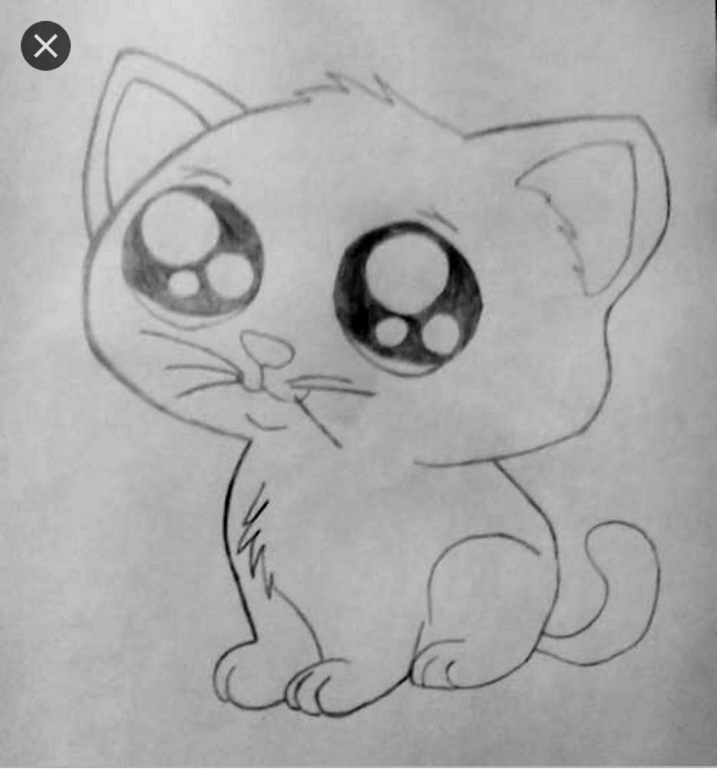 Милый котик рисунок карандашом легкий. Рисунок кота для срисовки. Рисунки котов для срисовки. Милые рисунки карандашом. Рисунки котят для срисовки.