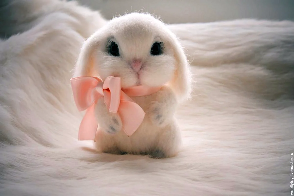 Песня ласковый заяц. Милый Зайка. Милые зайчики. Красивый зайчик. Милый кролик.