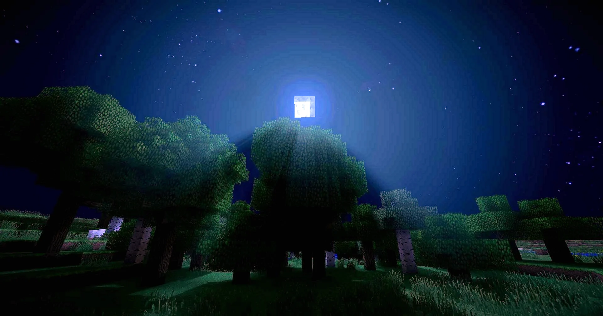 Minecraft темный лес шейдеры