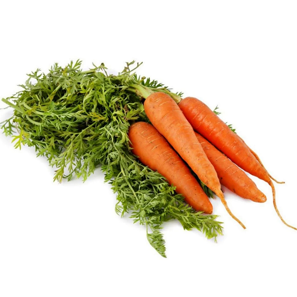 Морковь Базель f1