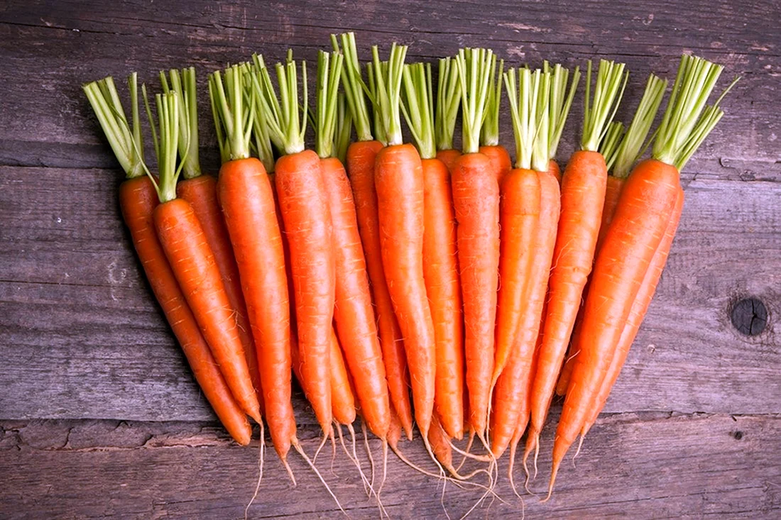 Морковь Белочка f1