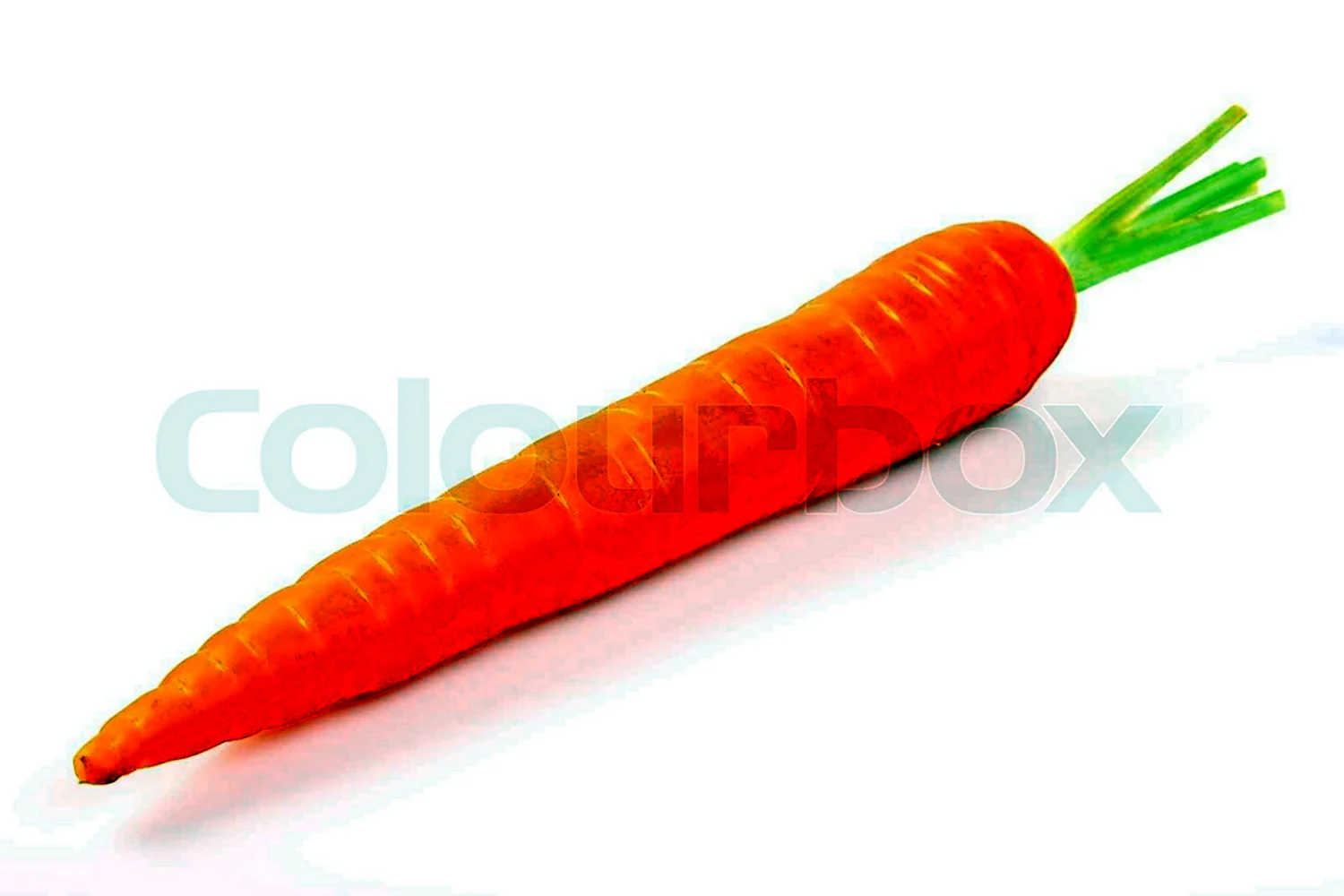 Морковь одна