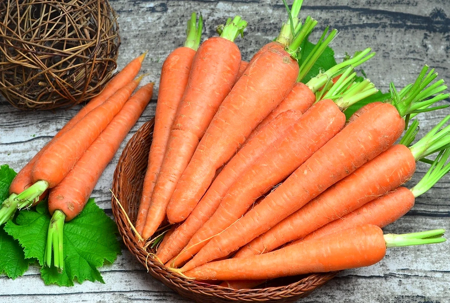 Морковь семёновна f1