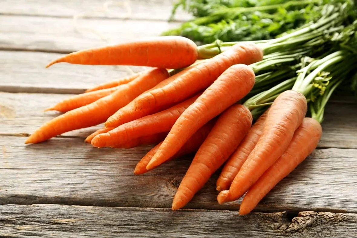 Морковь Скорпио f1