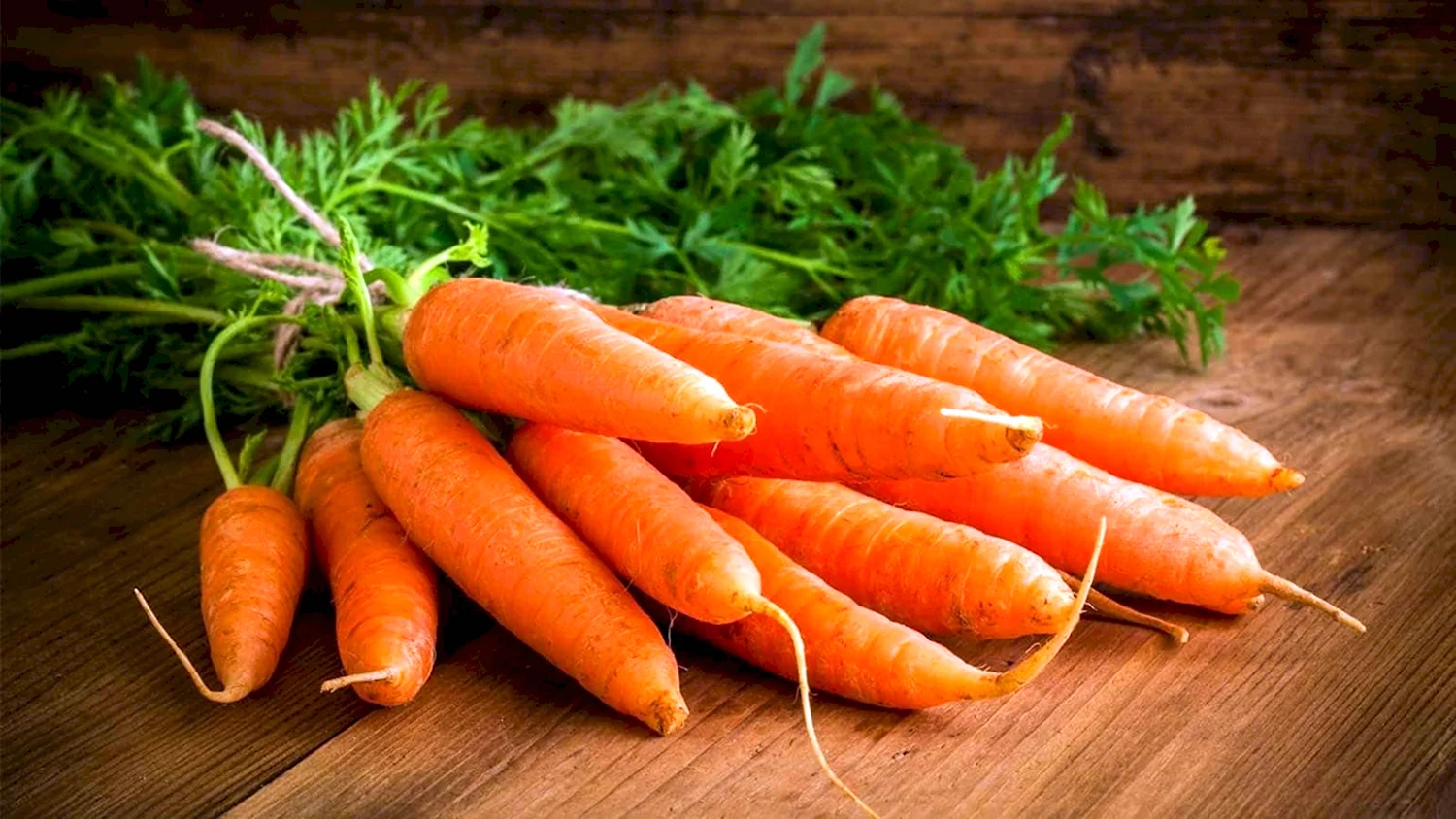 Морковь сорт Шантеклер