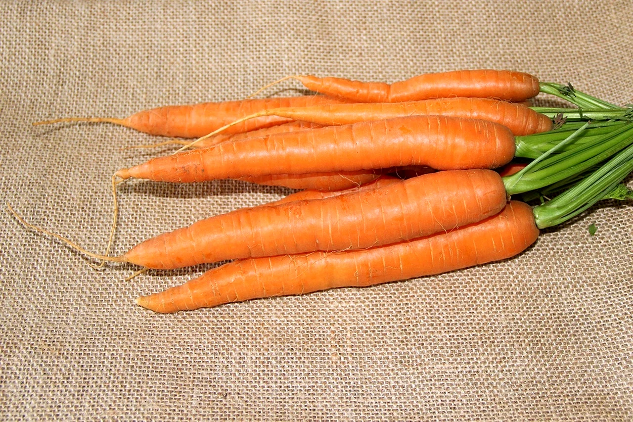 Морковья
