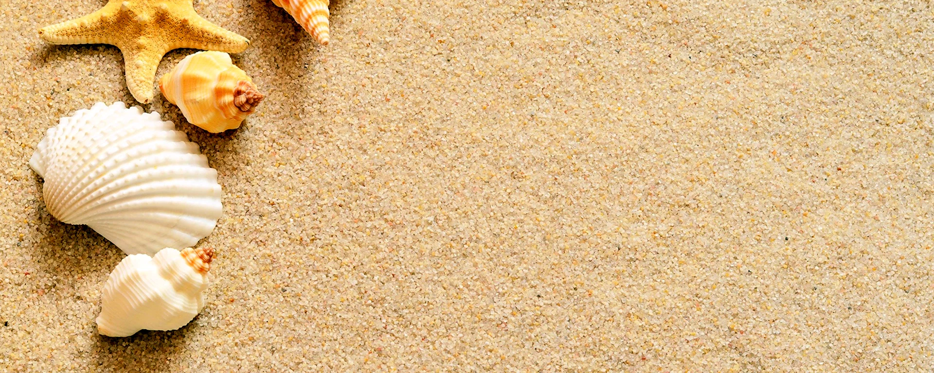 Морской песок ракушки на белом фоне