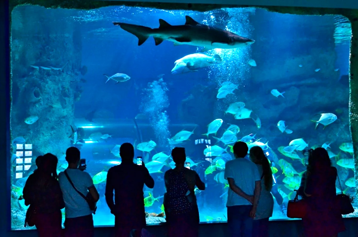 Московский аквариум Москвариум