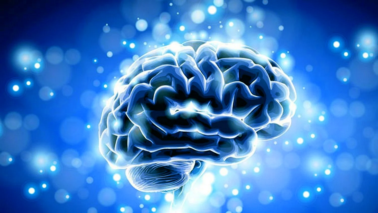 Brain 71. Мозг фон. Синий мозг. Презентация мозги фон бело-синий.