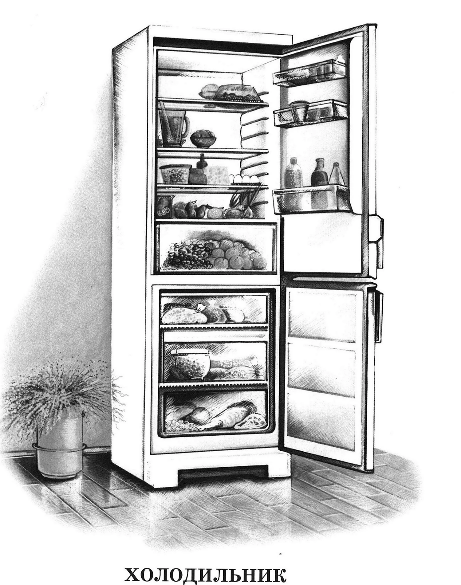 Раскраска Мишкин холодильник | Раскраски из мультфильма Маша и Медведь
