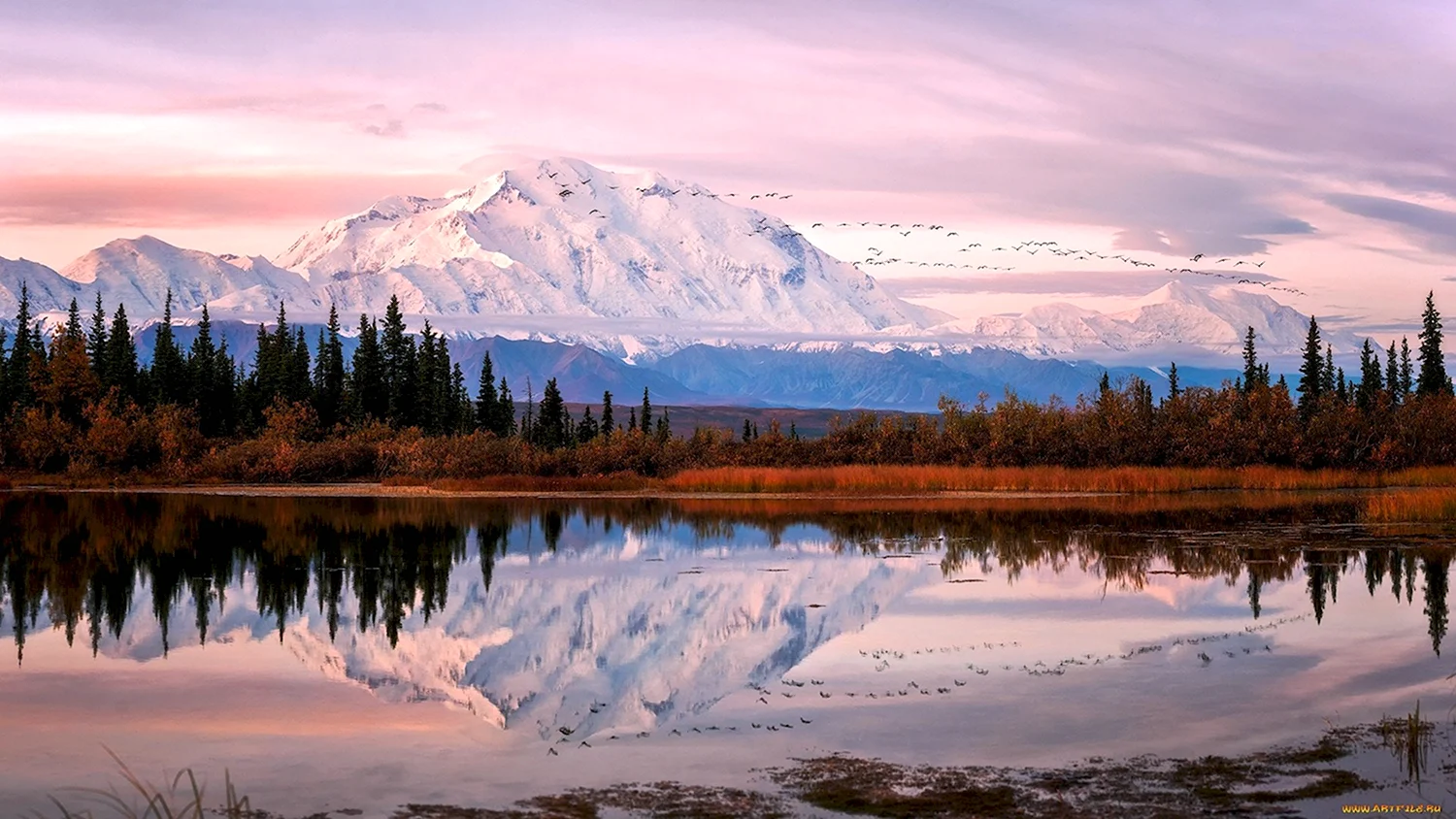 Национальный парк Денали штат Аляска