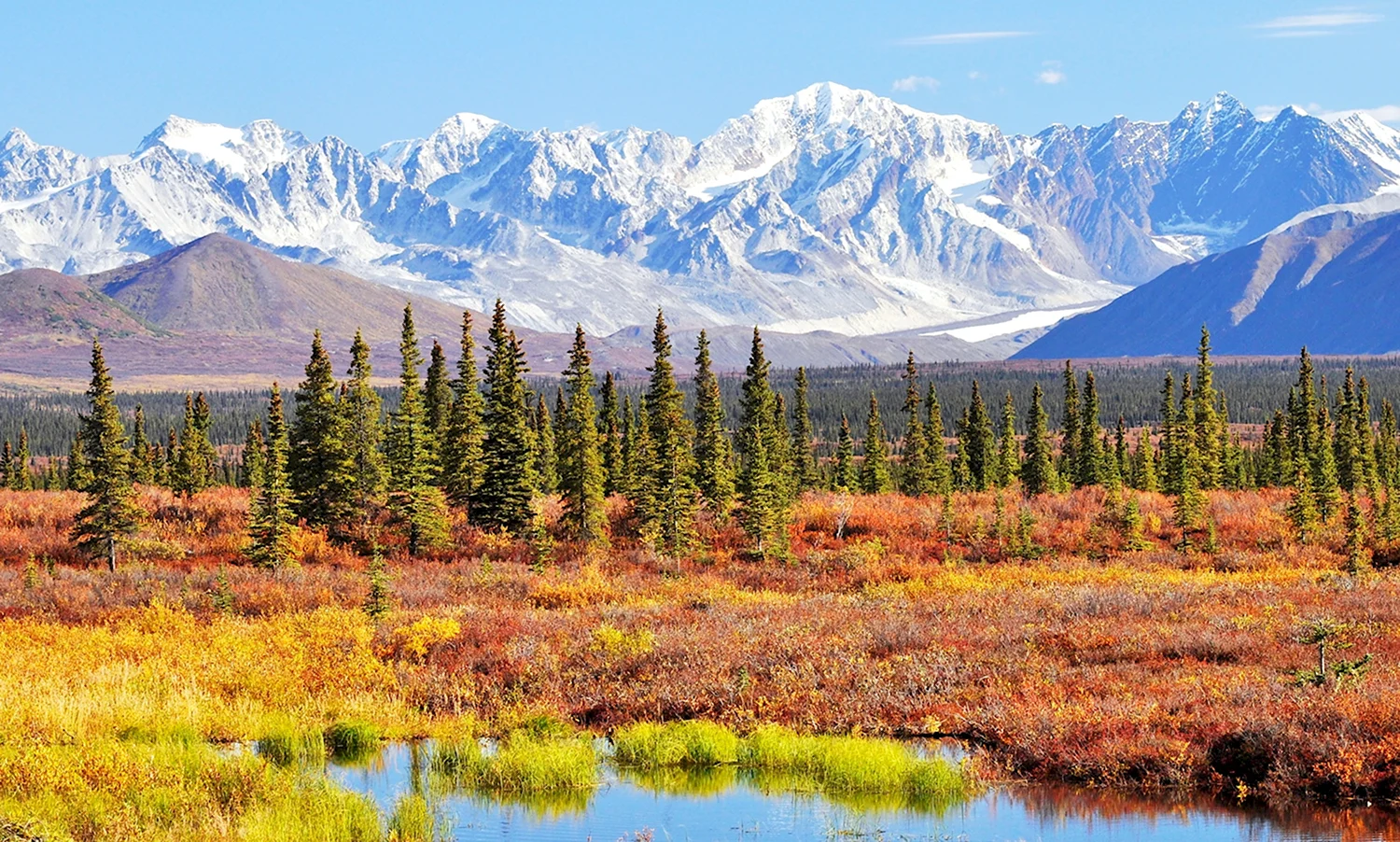 Национальный парк Денали штат Аляска