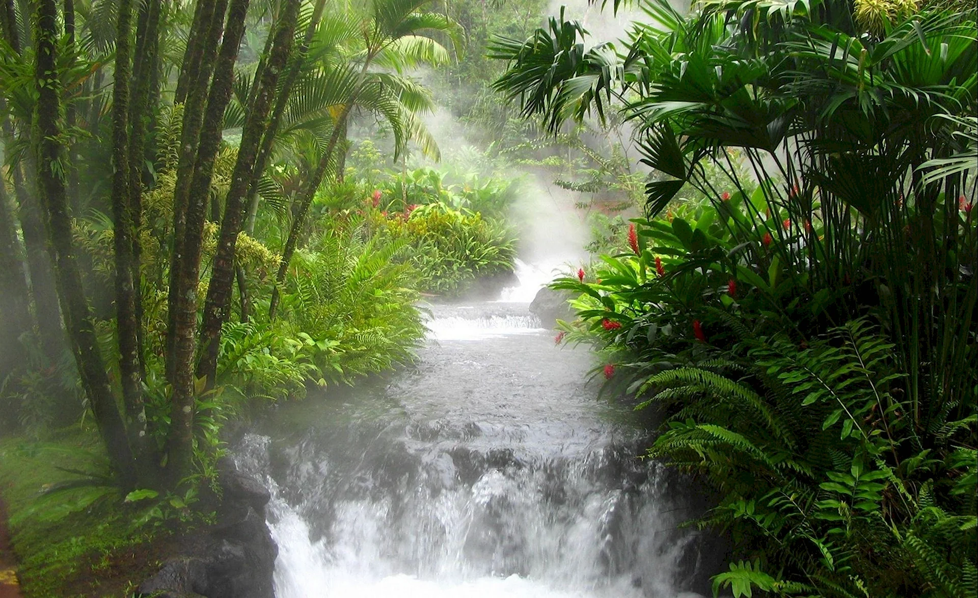 Национальный парк Тортугеро Коста-Рика
