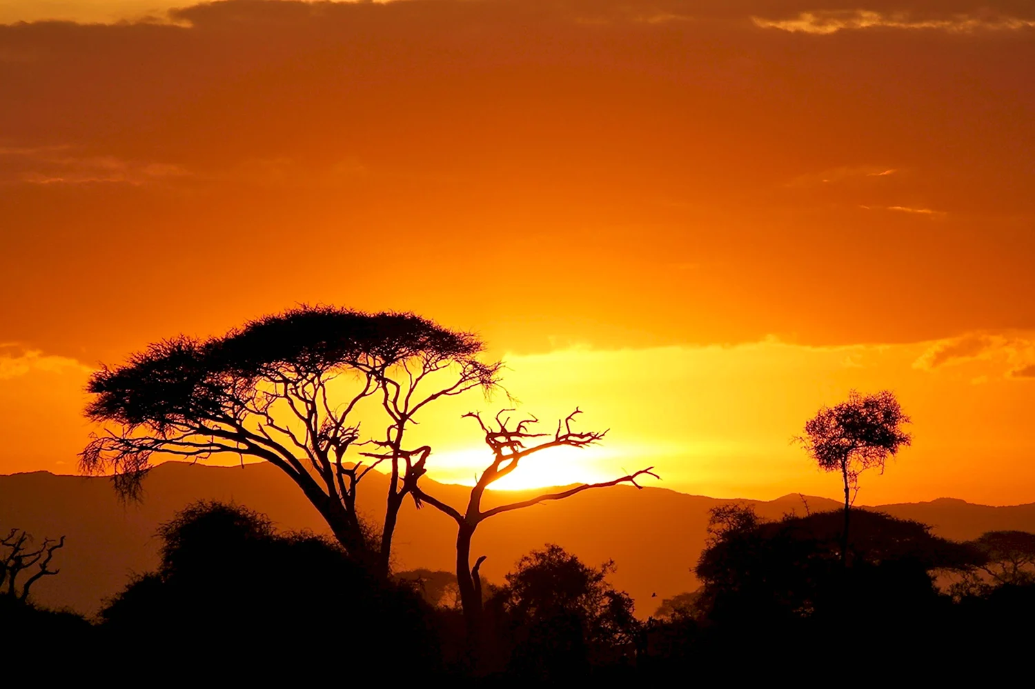 Национальный парк Вирунга Африка
