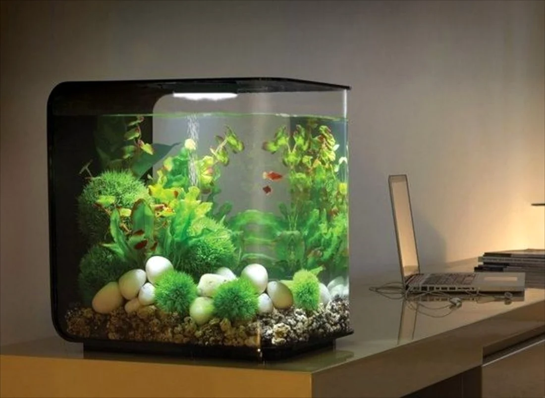 Небольшой аквариум