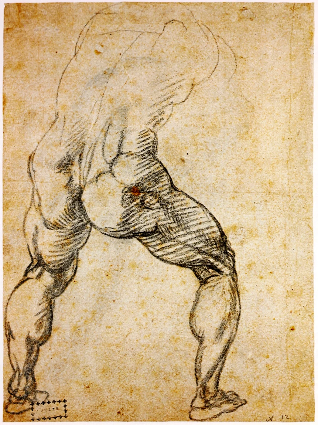 Ноги зарисовки Микеланджело