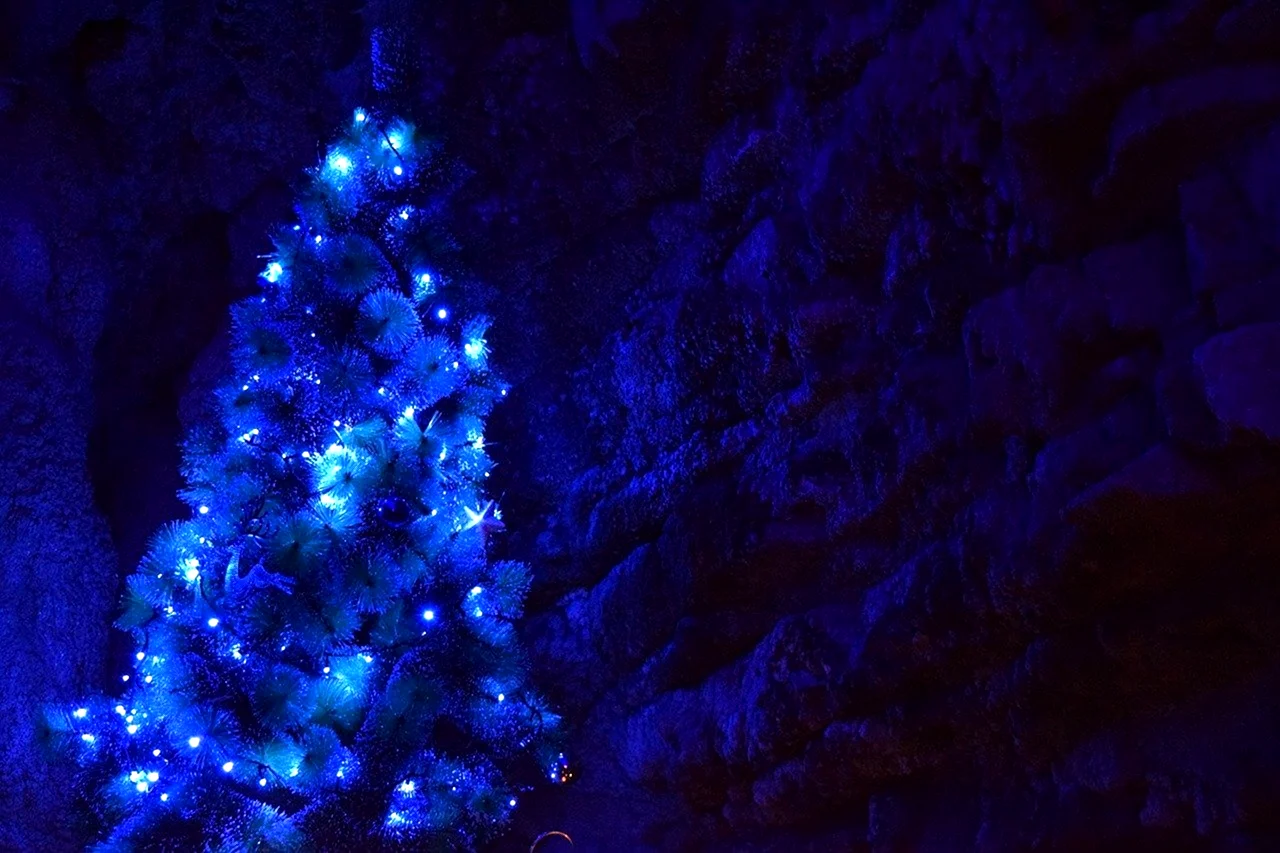 Новогодняя елка в синем цвете