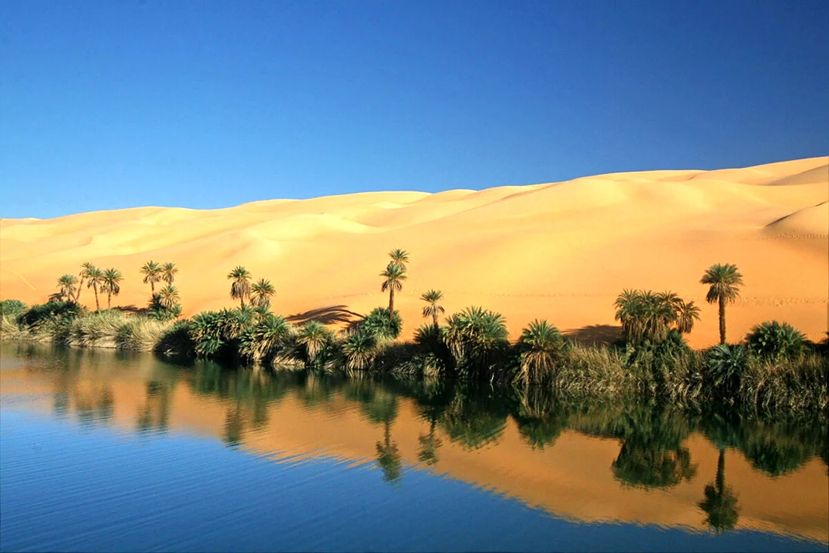 Оазис в Аравийской пустыне