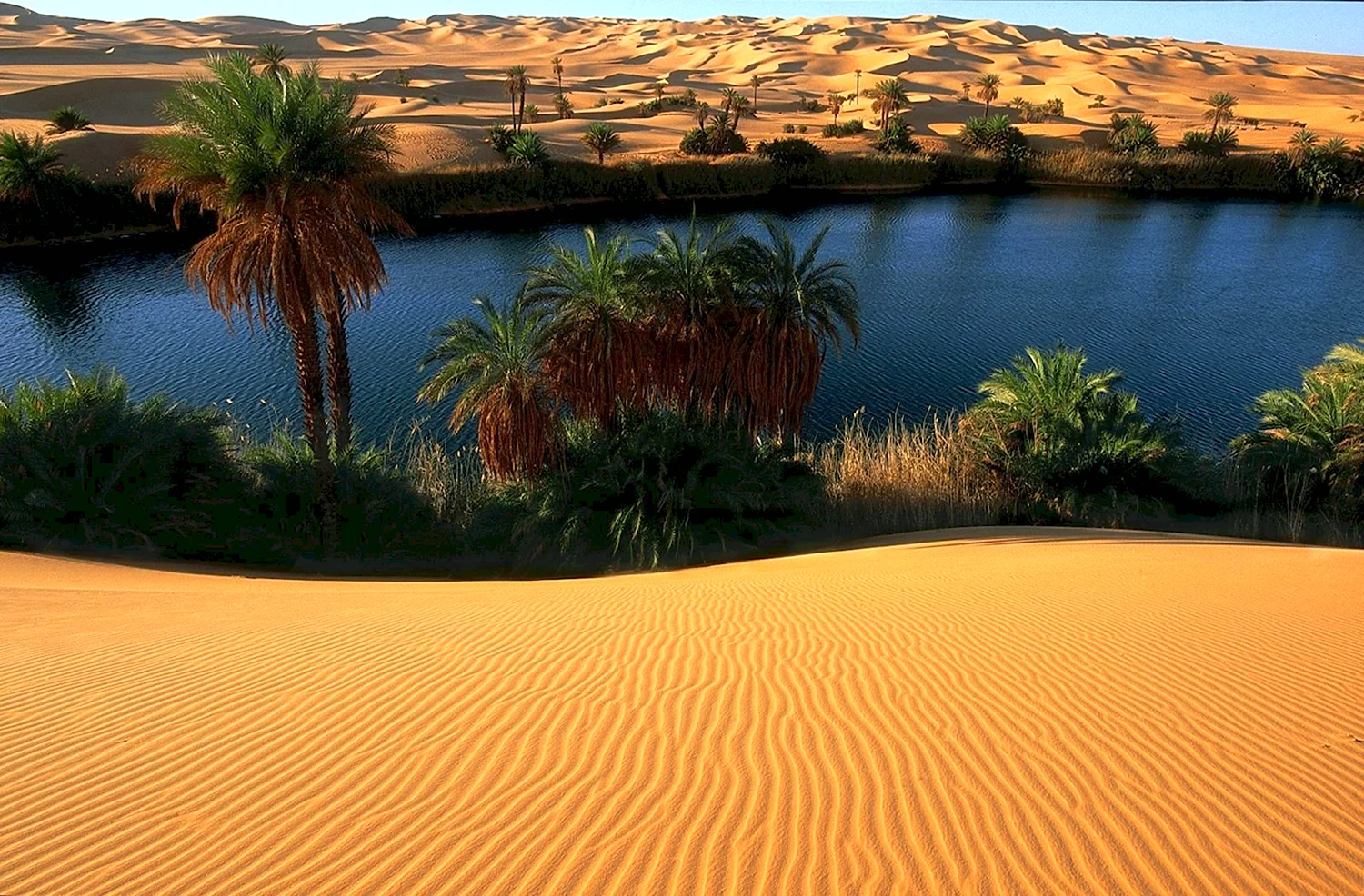 Оазис в Аравийской пустыне