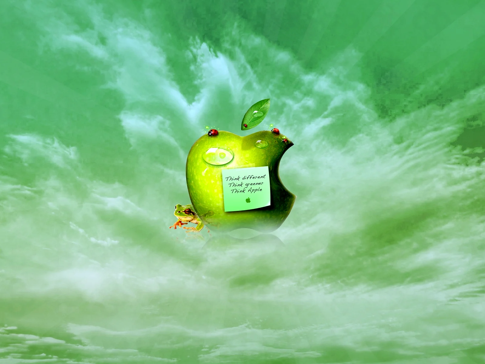 Обои зеленое яблоко
