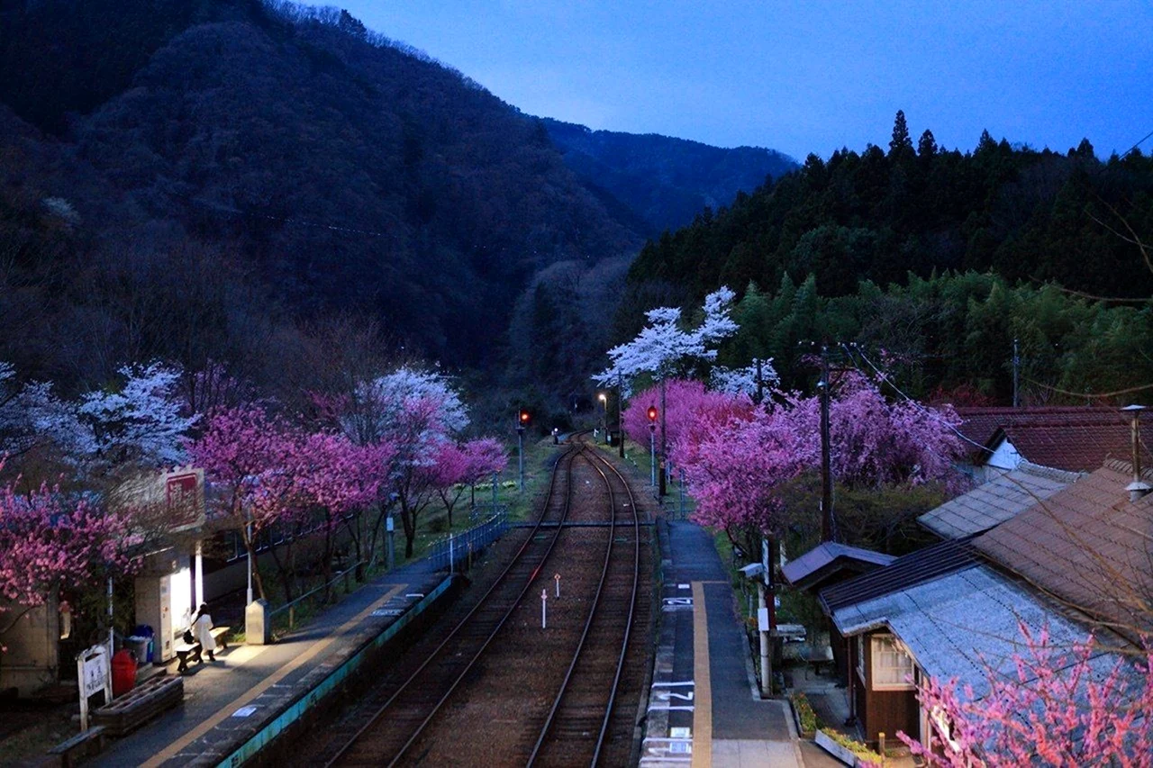Оита Япония железная дорога