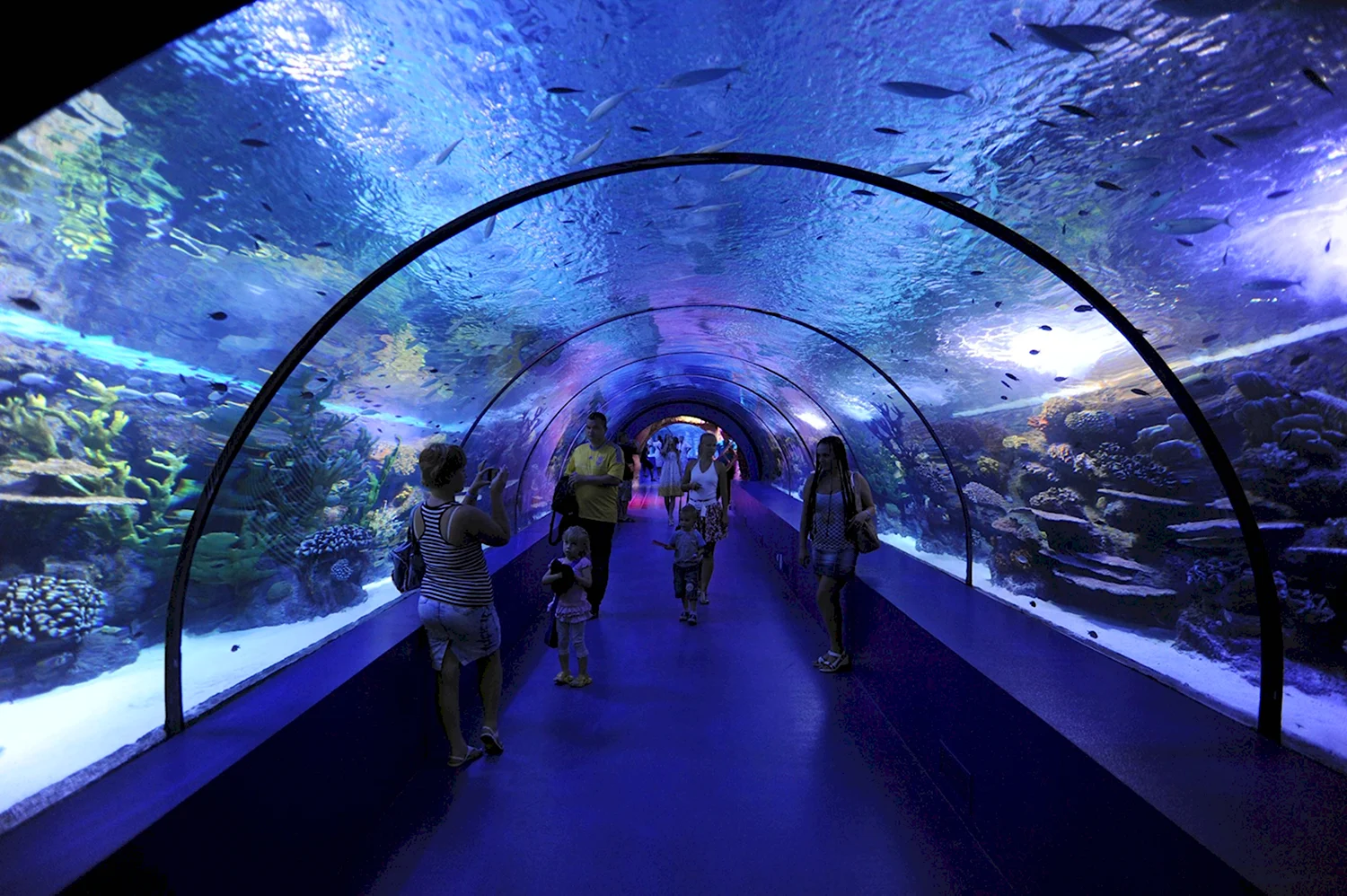 Океанариум Antalya Aquarium