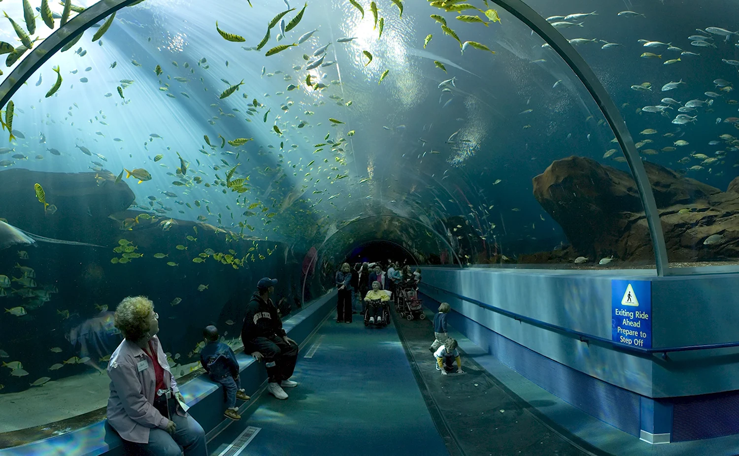 Океанариум «подводный мир Келли Тарлтона»