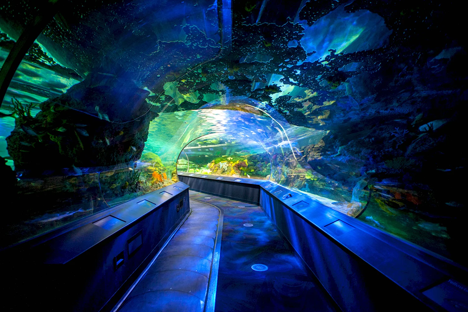 Океанариум «подводный мир Винперл»