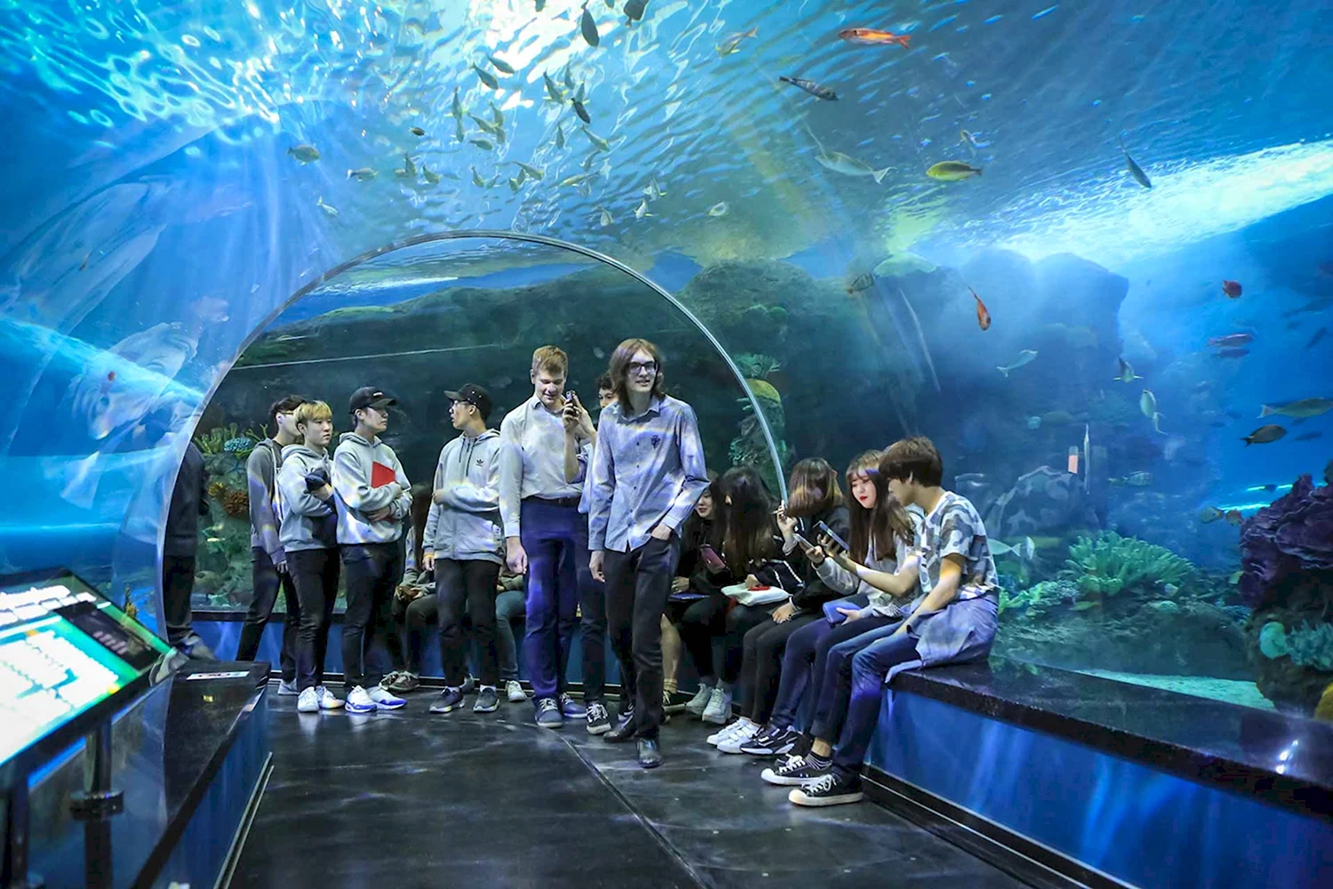Океанариум Владивосток аквариум большой