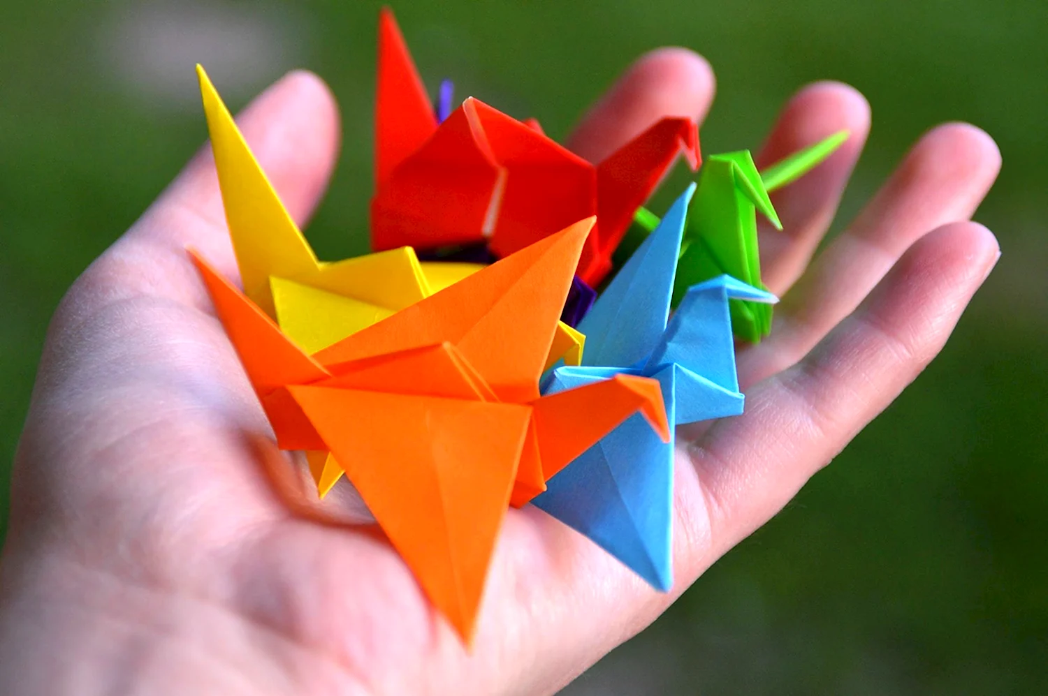 Origami Изображения – скачать бесплатно на Freepik