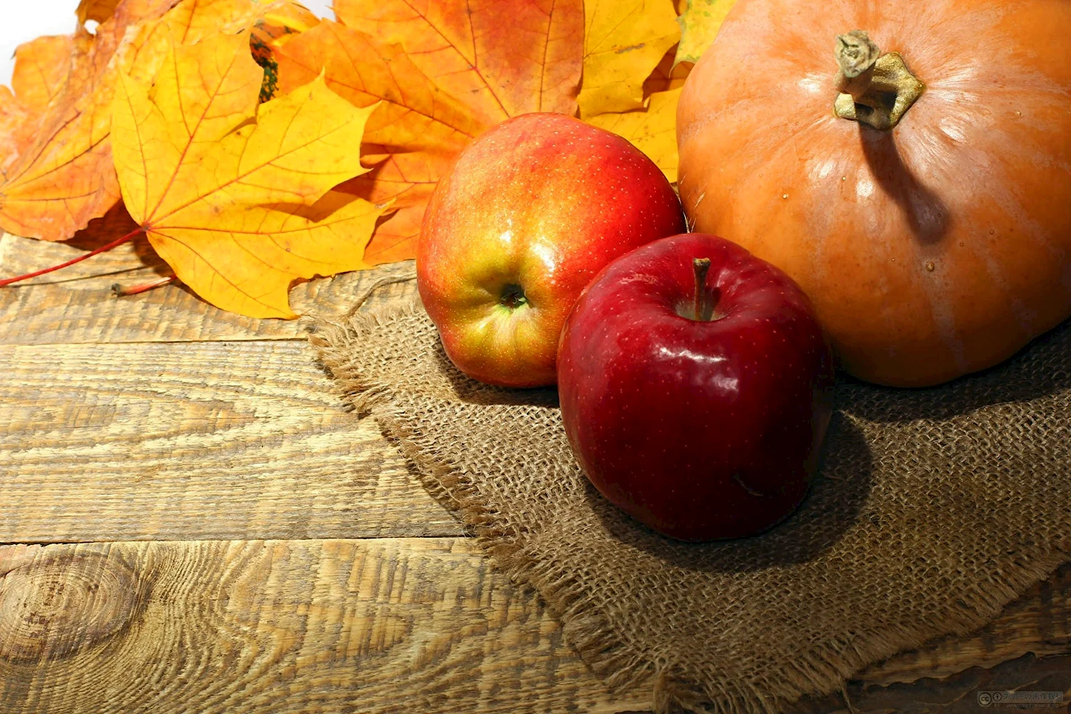 Осень яблоки и тыквы