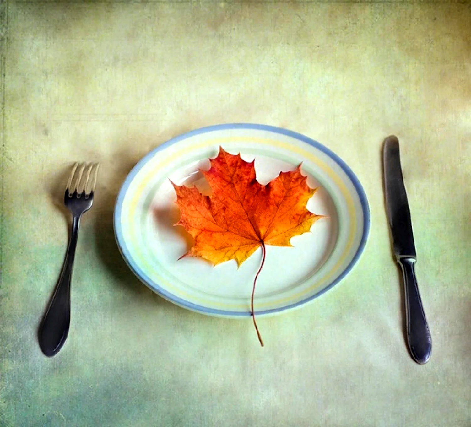 Осенние листья и еда